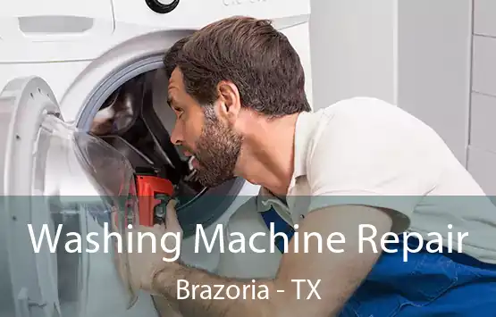  Washing Machine Repair Brazoria - TX