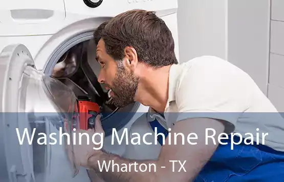  Washing Machine Repair Wharton - TX