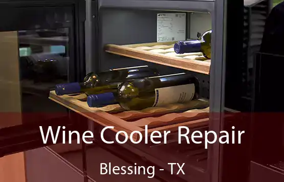  Wine Cooler Repair Blessing - TX