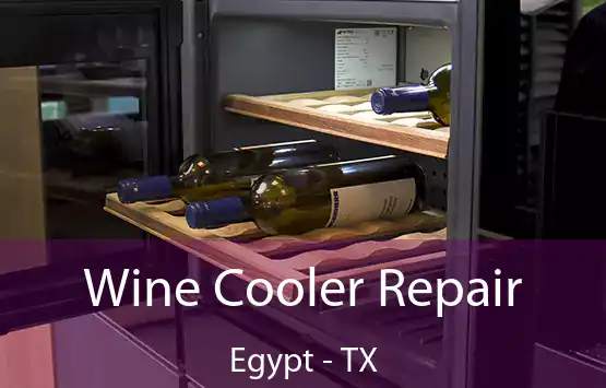  Wine Cooler Repair Egypt - TX
